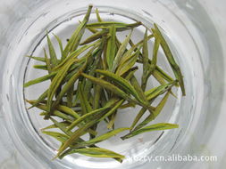 安吉白茶 百竹茶業的匠心傳承與獨特魅力